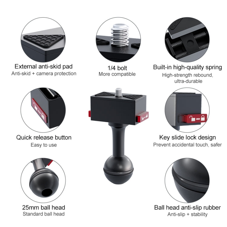 DCA2794B_5.jpg@372198dc7f3ed88a9a1db98ac3fbb16d