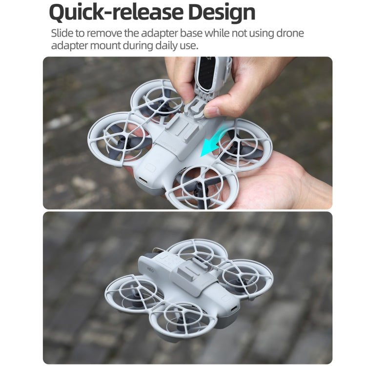 DOP0797H_5.jpg@49fcc65efb60cf960758d1c0610f09b2