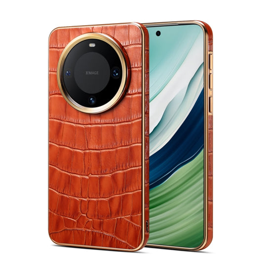 EDA005985901C.jpg@b2d3a279b3cb0c75fff9ae9e9d93d04f