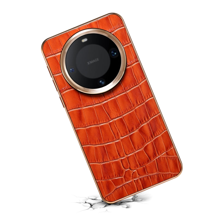 EDA005985901C_3.jpg@8a6c933ac20f3e4adc99450301c62509