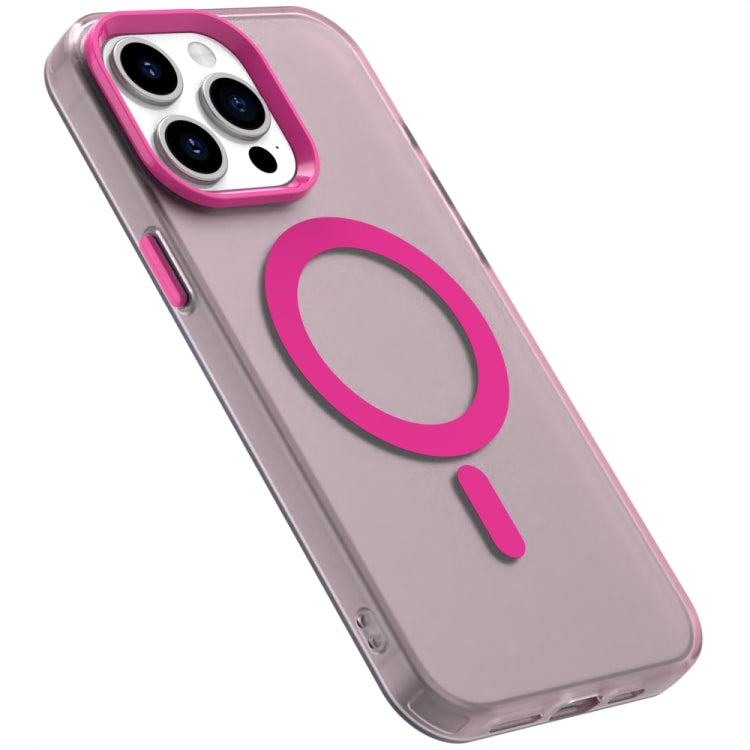 EDA007087711D_5.jpg@4beeb2810717a84ec0fe6b336f3b2479