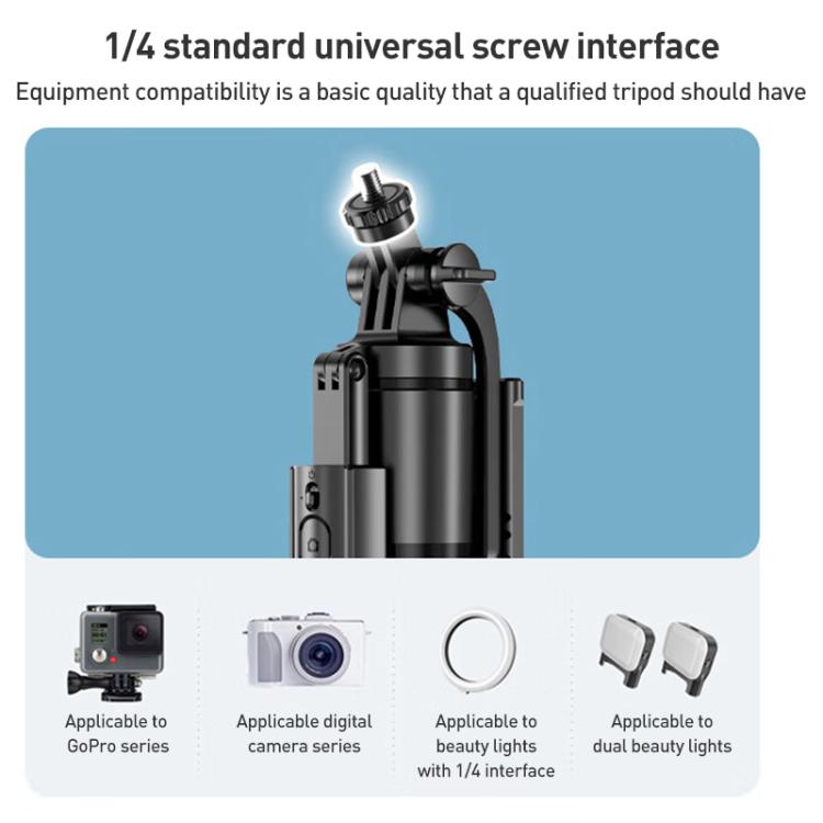 EDA007740201A_4.jpg@a1345fa601b462ce108a9f47753df742