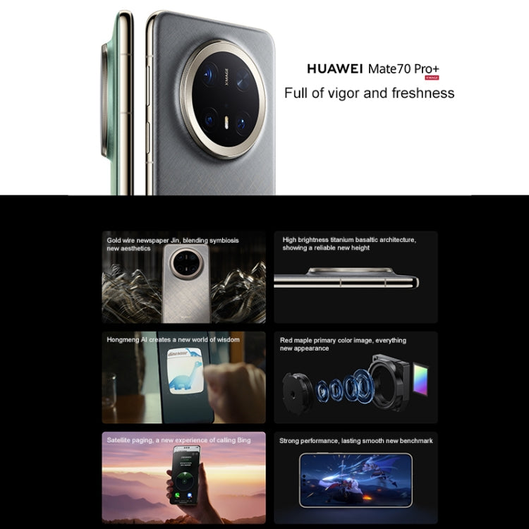 MPH2644_B1.jpg@3a99058b35fcec148f0ce3aec0ad0249