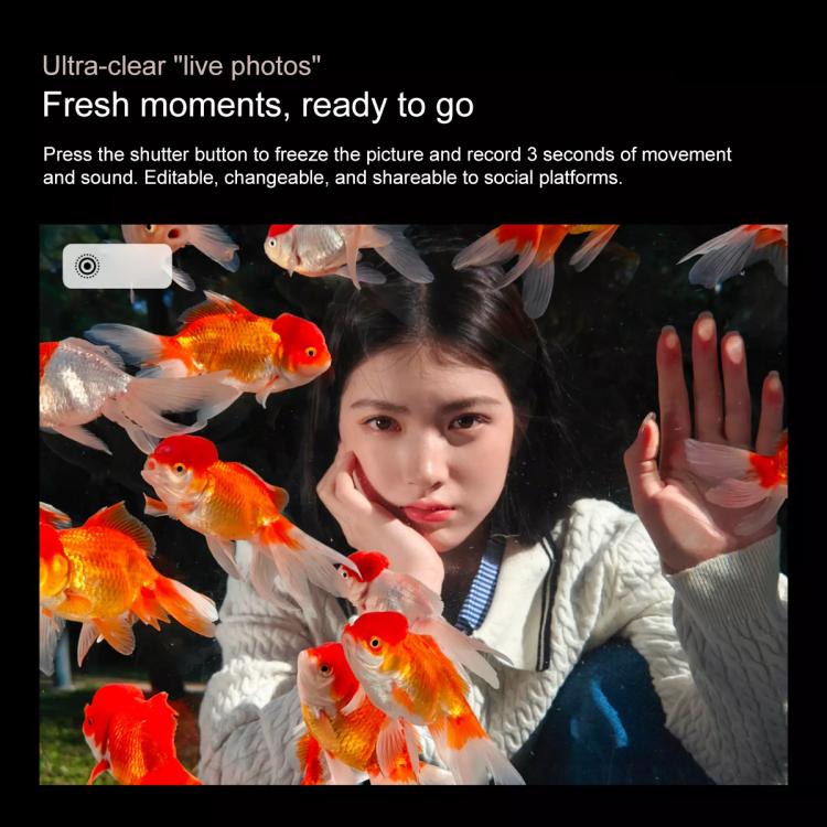 MPH2740_B10.jpg@f0c272018df40155a0f6937ecf87c8f3