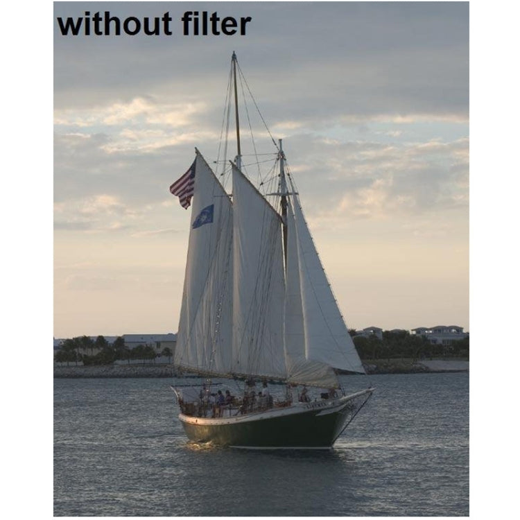 S-DLP-0399Y_5.jpg@ddd1ffa3b666bc4f4868db3bba9f1e05