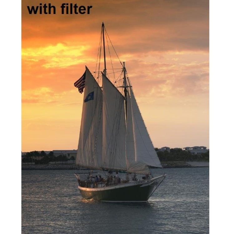 S-DLP-0399Y_6.jpg@b65ea6571dc3586948e05fe0281e33b3