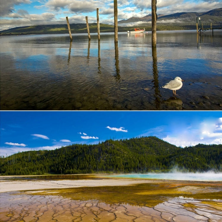 S-DLP-3951_5.jpg@5be5acd49648a6fac903baaf264cec50