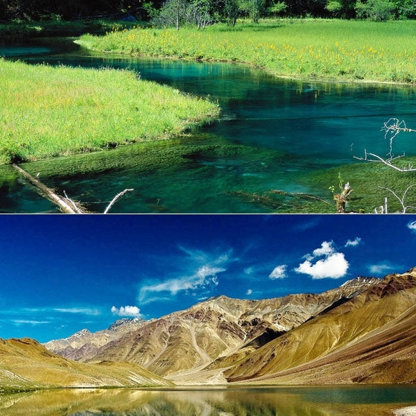 S-DLP-3951_6.jpg@9d94d90a1dde09ede832eac9ae0c93ae