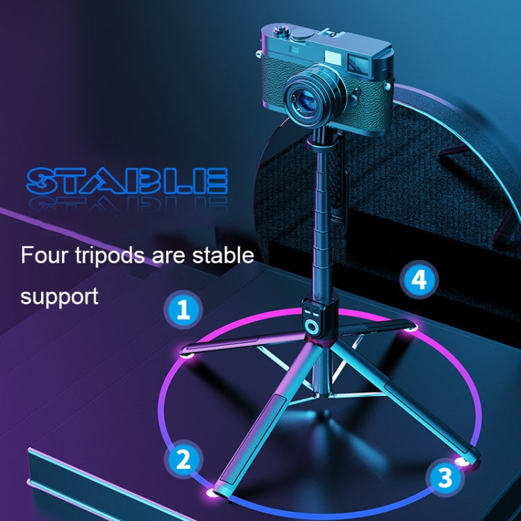 TBD0601624701_B3.jpg@6956d81c2ba84090691da01c6cc5c3bd