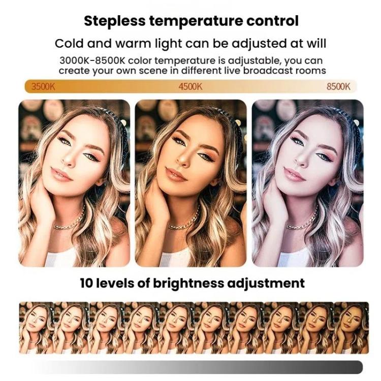 TBD06058832_B7.jpg@d0959d91537271f2010463b5a6867ab5