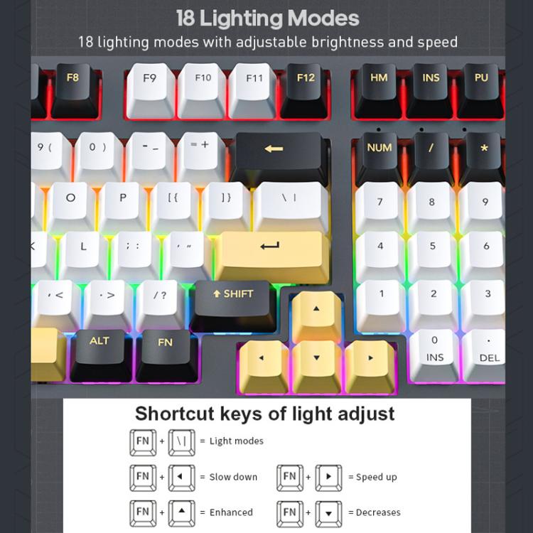 TBD06059928_B5.jpg@b992960b5762476150b596783f0e6bb4