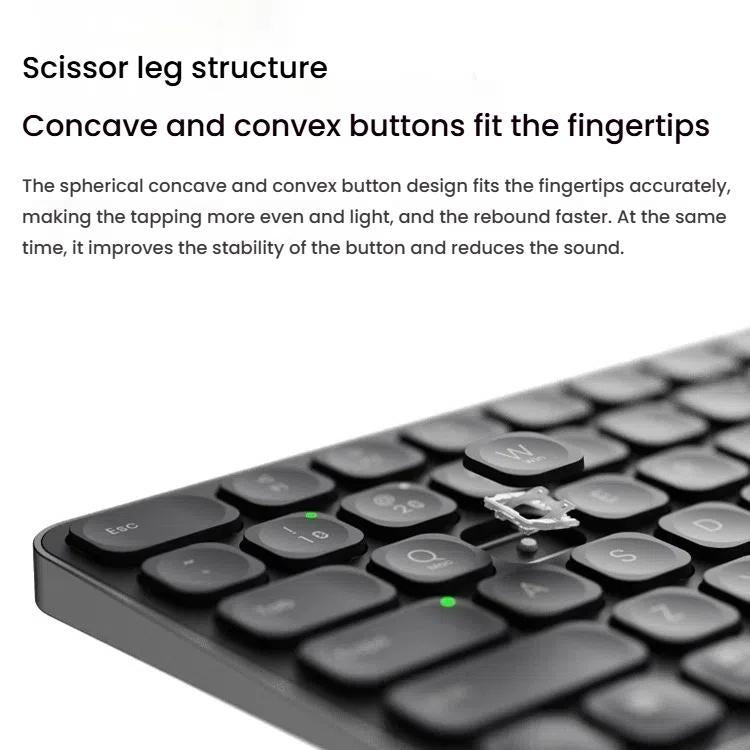 TBD06060586_B8.jpg@bc2d79cdeae71c880356ee2ae8900e2e